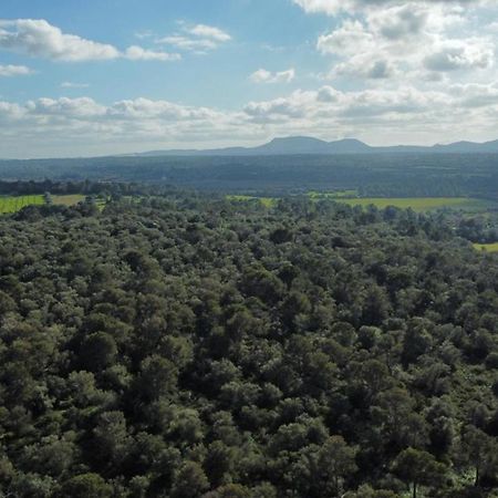 Magnifica Villa Tranquila En El Centro De Mallorca Biniali  외부 사진